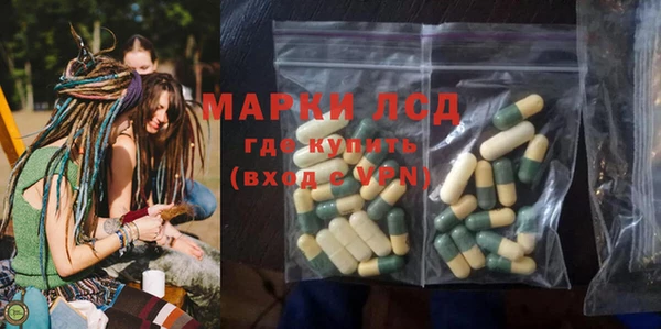 шишки Вязьма