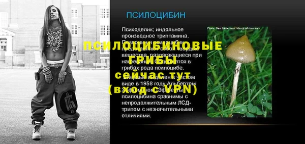 кокс Вяземский