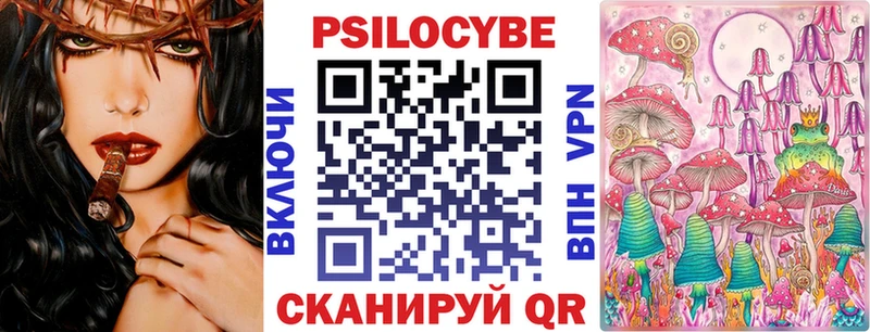 Псилоцибиновые грибы Psilocybe  Верхняя Пышма 